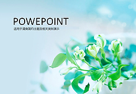 清爽精美ppt模板