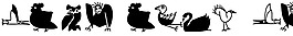 whereisthebirdsdealer