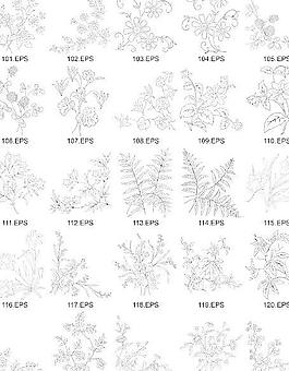 精美植物矢量线图5