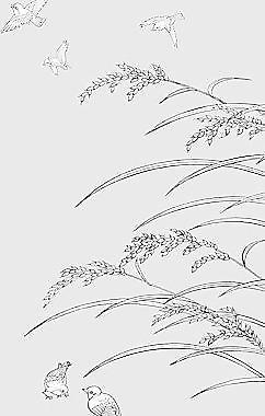 日本的植物花卉矢量素材33水稻制圖，鳥