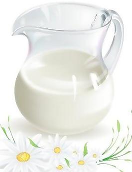 牛奶和甘菊