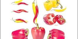 cpepper，蔬菜，青椒向量