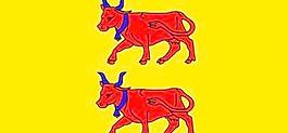 francebearn剪貼畫