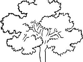 橡樹(shù)的剪輯藝術(shù)