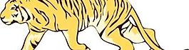 tigre05剪貼畫