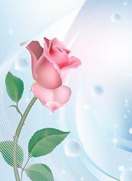藍(lán)色背景上的水泡泡玫瑰