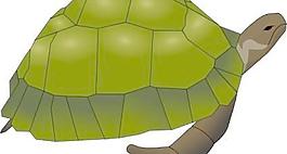 海龜?shù)募糨嬎囆g(shù)