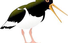蠣鷸鳥剪貼畫