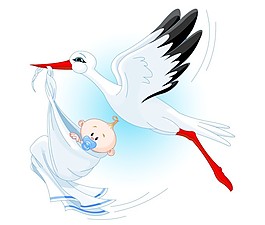 丹顶鹤和孩子矢量