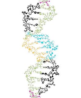DNA鏈