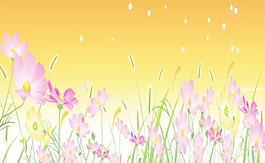 免費矢量花07