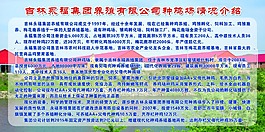 企業(yè)介紹