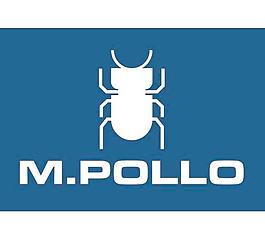 M. Pollo