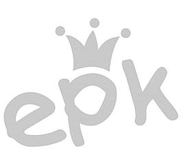 ERK