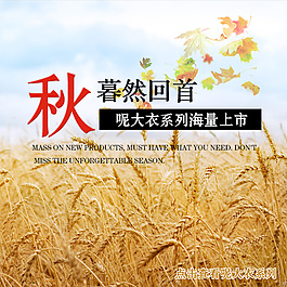 秋天的設(shè)計模板素材