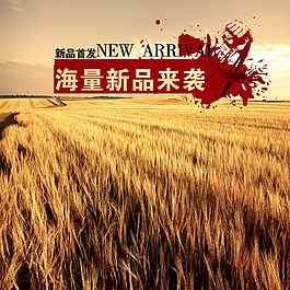 麦田设计海报素材