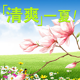 清爽一夏设计素材模板