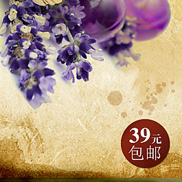 薰衣草設計模板素材海報