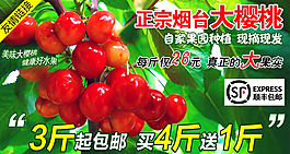 淘寶煙臺大櫻桃詳情素材psd下載