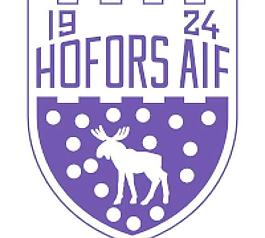 Hofors AIF