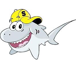 shacklette鯊魚