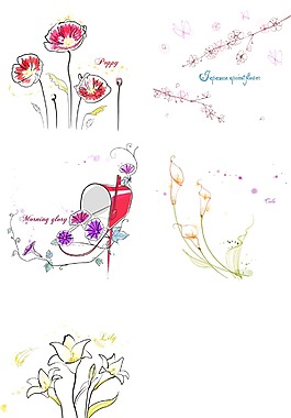 线描花朵