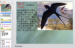 燕子PPT