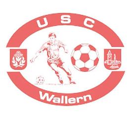 南加州大學(xué)wallern