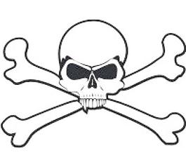 skullnbones