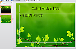 綠色植物PPT