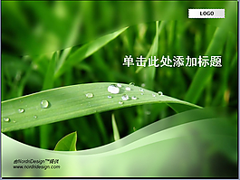 青草如絲