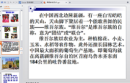 維吾爾ppt