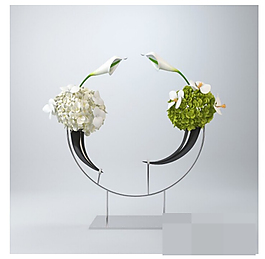 創(chuàng)意植物飾品