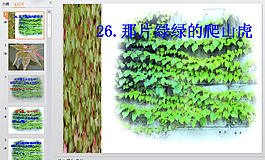 教育培训PPT