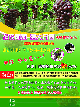 葡萄園活動