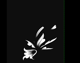 花朵視頻素材