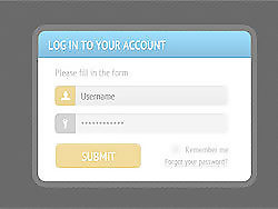 登录Web UI 2