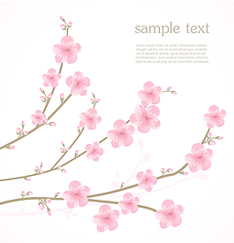 梅花開
