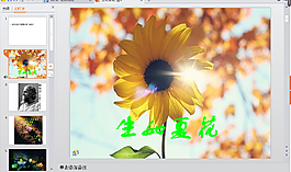 生如夏花PPT