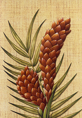 花卉文化藝術(shù) 設(shè)計(jì)
