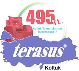 terasus公司