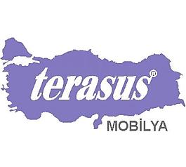 terasus公司