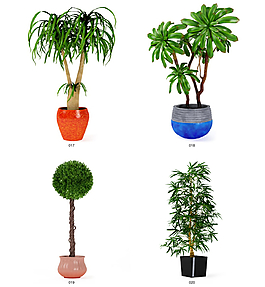 绿色植物