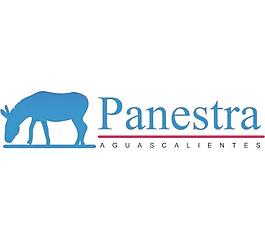 panestra