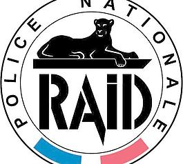 RAID