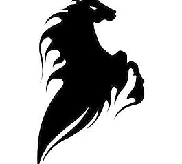 野馬