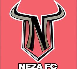 toroz Neza FC