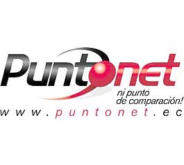 puntonet