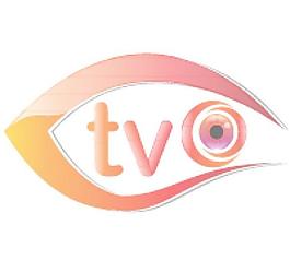 TVO管43