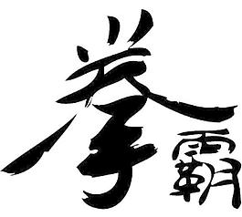 qanba戰(zhàn)斗操縱桿